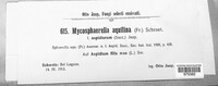 Mycosphaerella aquilina image